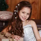 ABS Plastic Hair Clips for Women 