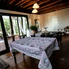 Polyester Printed Table Cloth 