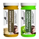 Park Daniel 100% Pure & Natural gokhru Powder & Pudina Powder 