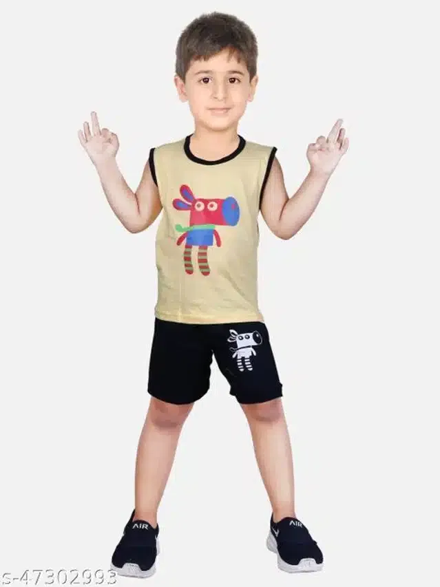 Clothing Set for Boys (Multicolor, 2-3 Years)