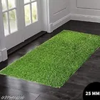 Artificial Grass Doormat 