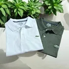 Polo Solid T-Shirt for Men 
