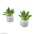 Plastic Artificial Flower With Pot,Multicolour, Set Of 2