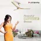 Longway Wave P1 1200 mm 3 Blade Ceiling Fan  
