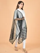Net Self-Design Dupatta for Women 
