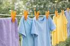 Clip Storage Basket | Cloth Drying 16 Clips Set Assorted Any 1 Colour