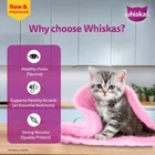 Whiskas Kitten Chicken Cat Food 7x80g