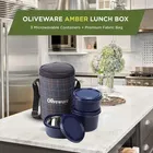Infinite 3 Stainless Steel Microwave Safe Leak Proof Insulated Fabric Full Meal Lunch Box 