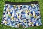 Lycra Printed Trunks for Men, Assorted 