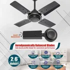 Maxotech Aflred Ultra High Speed 24 Inch 600 mm 4 Blade Ceiling Fan  