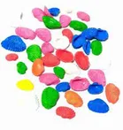 Sankha Sea Shell for Art & Crafts 
