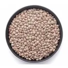 Masoor Sabut 1 Kg Loose