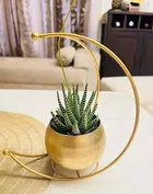 Akaar Decor Metal Half Moon vase 9inch Pack of 1