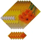 PVC Printed Dining Table Placemats 