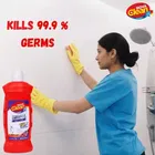 नोवा क्लीन फ्लोरल बाथरूम क्लीनर 1L