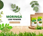 Trivang Organic Moringa Leaf Powder For Weight Loss, Powerful Vitamins & Antioxidants 