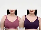 Padded Bra for Women, Pack of 2 