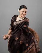 Litchi Silk Woven Design Saree for Women, Brown 