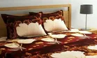 Double Bedsheet with 2 Pillow Covers 