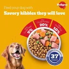 Pedigree Adult Chicken and Vegetable Dry Adult Dog Food 