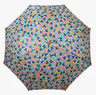 CITIZEN 2 Fold Printed Umbrella 
