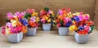 Plastic Artificial Flowers, Multioclor, Pack of 6