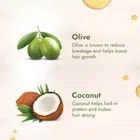 Parachute Advansed Olive Enriched Coconut Hair Oil for Stronger Nourished Hair, 300 ml