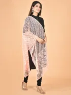 Net Self-Design Dupatta for Women 