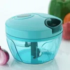 Plastic Manual Vegetables & Fruits Chopper (Blue, 350 ml)