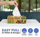 टेराहोम फेसिअल टिश्यू बॉक्स, 2 Ply, 200 Pulls
