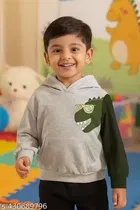 Cotton Printed Hoodie for Boys, Grey & Green 