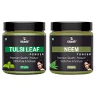 Natural Tulsi & Neem Powder for Skin & Hair 