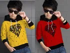 Cotton Blend Hooded Sweatshirts for Boys 