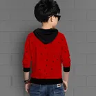 Cotton Blend Round Neck Hoodies for Boys 