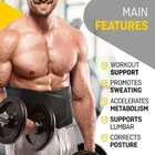 Sweat Belt for Men & Women 