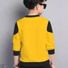 Cotton Blend Round Neck T-Shirts for Boys 