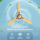 Longway Starlite-1 P1 1200 mm 3 Blade Ceiling Fan  