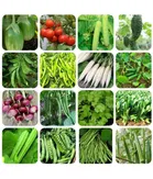 Zello 16 Variety,  500 + seeds  of Vegetable Seeds combo - with Instruction Manual