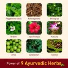 Navratna Ayurvedic Cool Oil 450 ml