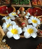 Soap Artificial Flowers for Decoration for Women 