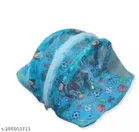 Laddu Gopal Mosquito Net with Mukat 