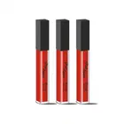 Liquid Matte Lipstick 