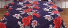 Polycotton Double Bedsheet with 2 Pillow Cover 
