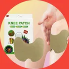 Knee Pain Relief 10 Pcs Heating Patch 