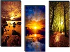 MDF 3 Pcs Designer Wall Painting for Home & Office 