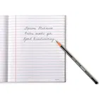 Apsara Platinum Extra Dark 20 Pencils 