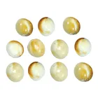 Mangal Bhavan Puja Gomti Chakra Set, 11 pcs
