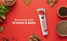 Vicco Vajradanti Ayurvedic Toothpaste 200 g