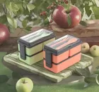 Plastic 3-in-1 Compartment Lunch Box with Spoon & Fork 