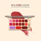Shryoan Lip and Cheek Palette, Shade 02, 15 g